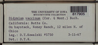 Image Associated With the Occurence